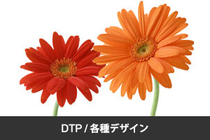 DTP / 各種デザイン