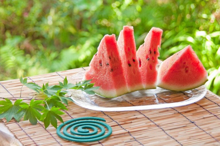 夏季休業のお知らせ